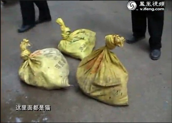 【閲覧注意】中国でペットの猫を盗み、羊肉として売っていた男が逮捕される