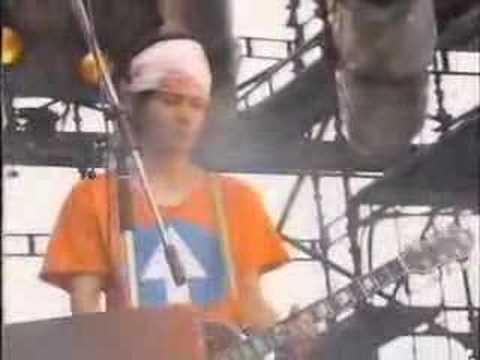 月光陽光　LIVE - YouTube