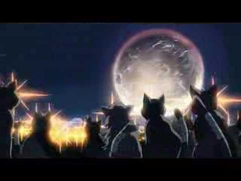 「猫の集会(監督：新海誠／制作：コミックス ウェーブ フィルム)」 - YouTube