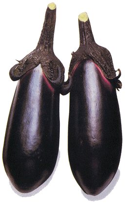 『ほこ×たて』でナス嫌いとして出演した京本政樹、水なす浅漬けを推薦していることが発覚ｗｗ