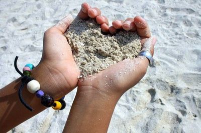 「生涯愛することを誓いますか？」浮気をしない動物10種類:らばQ