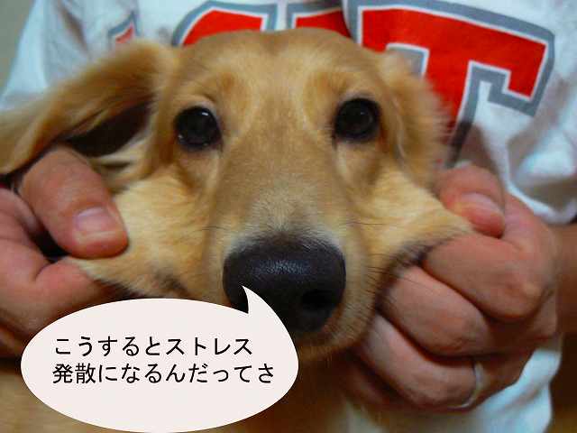 実は「ヤバいストレス」を抱えている人に現れる体の症状9個