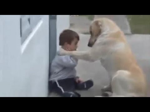 [FULL] Dog Determined To Make Friends With Boy With Down Syndrome - YouTube