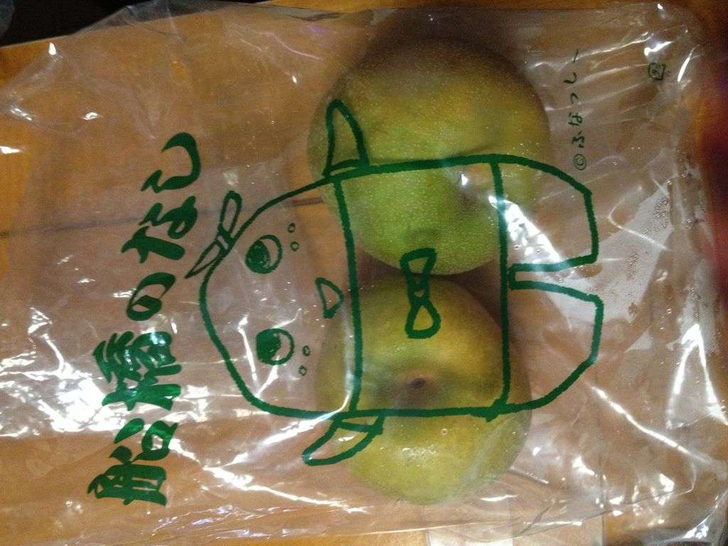 ふなっしーのデビューシングルがレコチョク「着うた」デイリーランキングでAKB抑え初登場1位を獲得