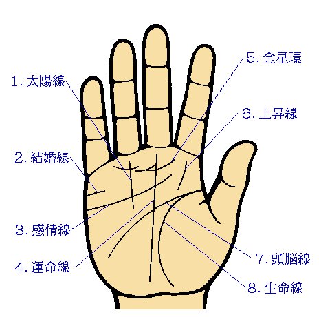 手相占い、信じますか？