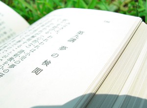 全くテレビを見ない方、普段何をされていますか？