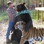 種類は違うけど仲良しな動物たちの癒し画像集 - NAVER まとめ