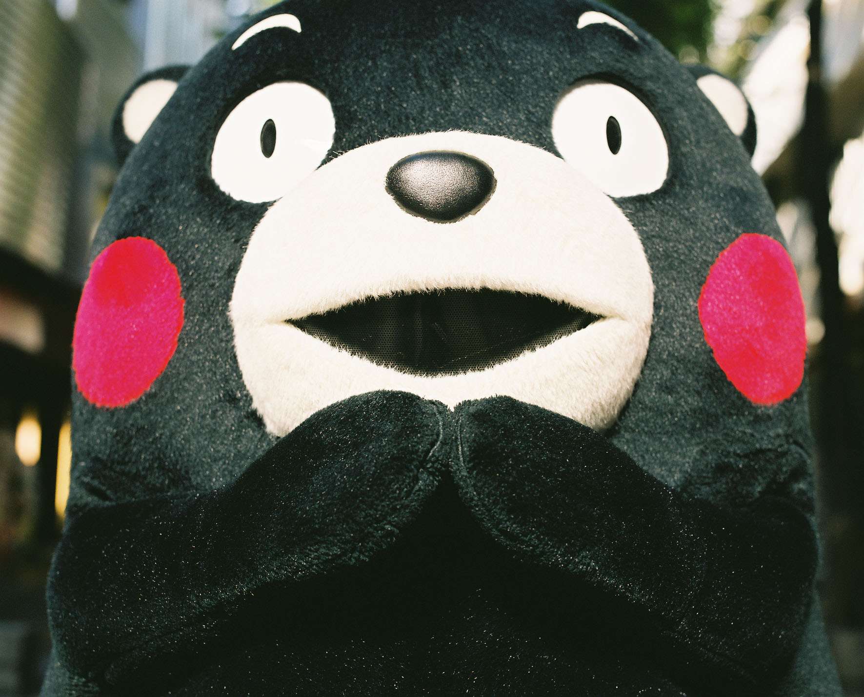 くまモンが“赤いほっぺ”紛失、「普通の熊」になり激しく落ち込む