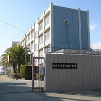  酒鬼薔薇事件の再来か…兵庫県加古川市加古川町平野町猫惨殺事件 | PBR（ピーヴァル ポゥヴォーリィ）        
