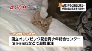 最近癒された出来事♡