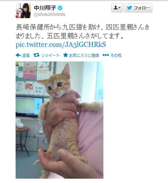 タレントの中川翔子さんが保健所から9匹の子猫を救い里親探し中！ ライブでの引き渡しも /&nbsp;ネットの声「しょこたん天使すぎる」 | ロケットニュース24