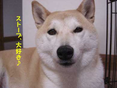 最近癒された出来事♡
