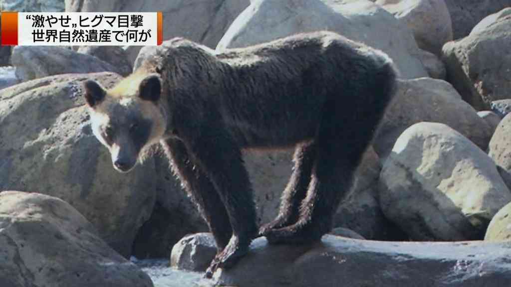 あなたのお気に入りの画像貼ってください！