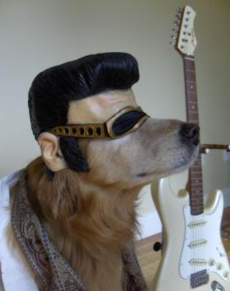 最近のペットのキラキラネームwww 「女瑠世死霊亜魔外道」、「怖栄螺吾瑠獲富腐漢零」