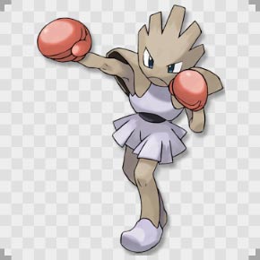 市川海老蔵「ポケモンXYと攻略本を買いました！」→可愛すぎる間違いをしてる件ww