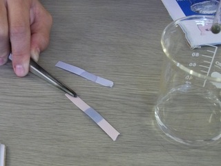 今ではあり得ない、小学校から消えたもの