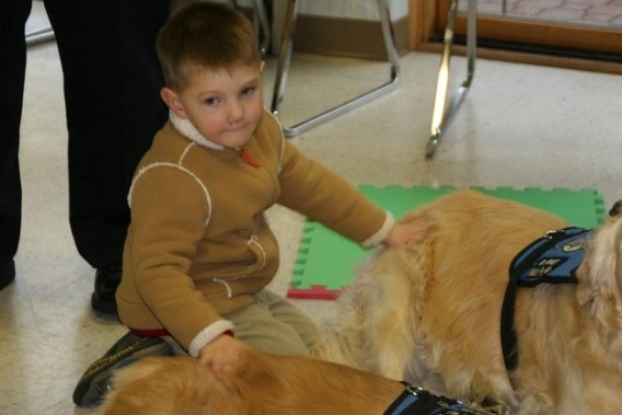 ラブラドール犬がダウン症の男児(３)を元気付ける様子が和む( ；∀；)