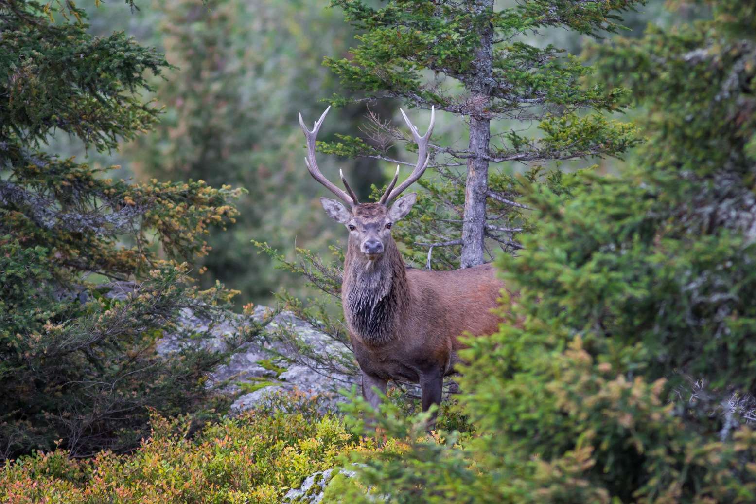 【画像】素敵な景色を堪能しましょう!