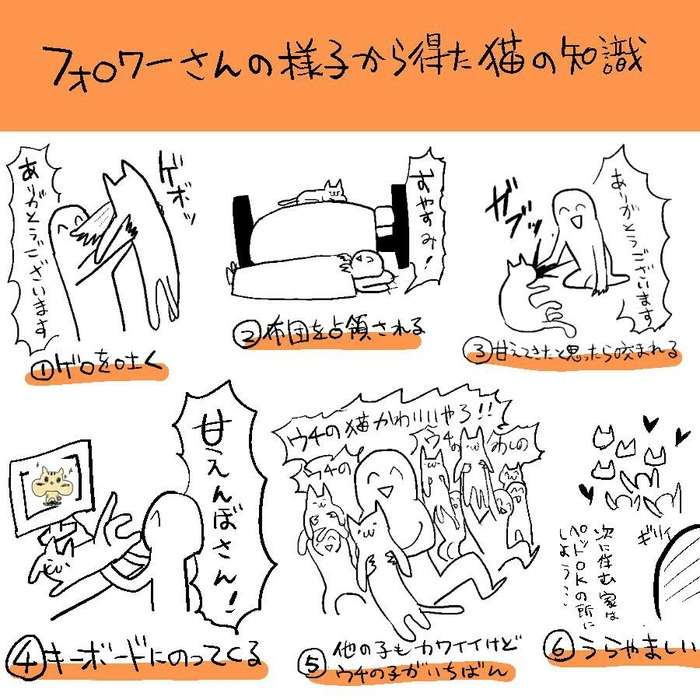 猫を飼っていない人が思い描く飼い猫のイメージがだいたいあってる件