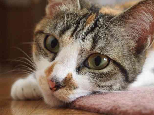 「優しい人＝冷たい人」というツイートが考えさせられると話題に