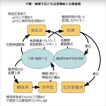 「寝る時間と起きる時間」を見直したら痩せました! 驚くべき睡眠と体重の関係