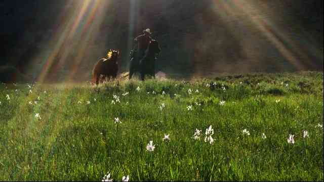 【画像】素敵な景色を堪能しましょう!