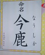 姓名判断について語りましょう