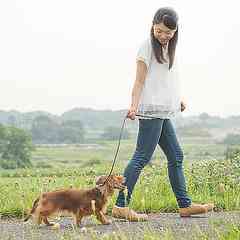 ふん害に悩んだ末…来年度「犬税」導入へ　大阪・泉佐野市 - ライブドアニュース