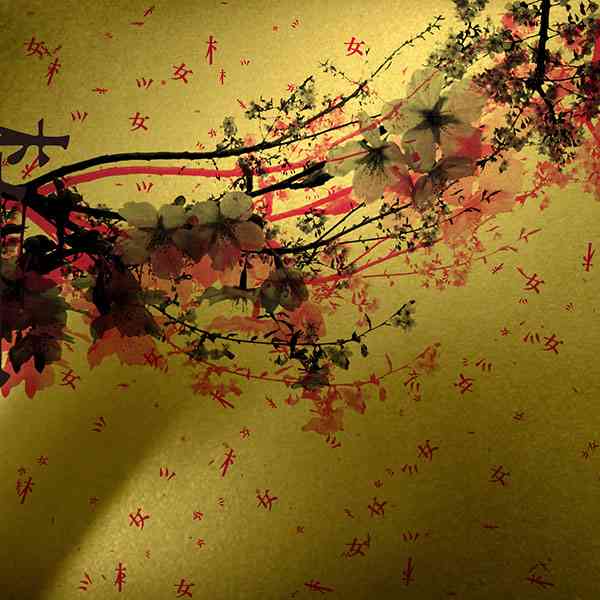 【持ってる中で】オシャレなCDジャケット【限定】 | ガールズ ...