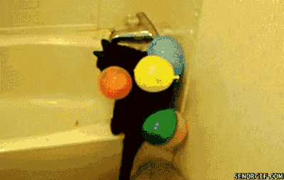 猫が風船あそびをした結果www