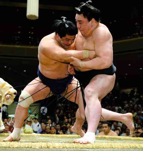 相撲好きな人！