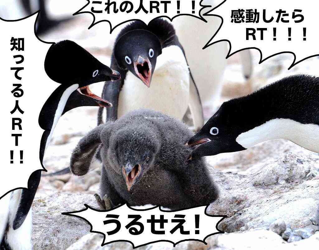 【冬コミ】コスプレエリアで一番人気のコスプレイヤーが面白いww