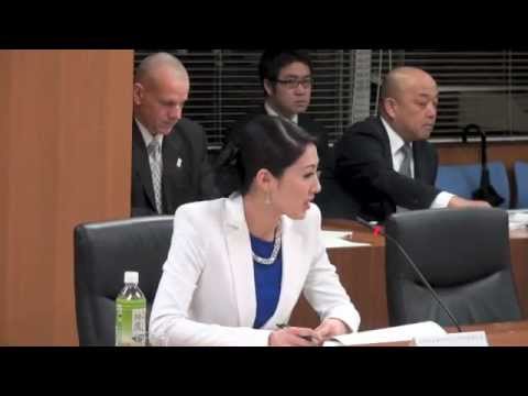 少子化危機突破タスクフォース（第１回）ミスインターナショナル２０１２吉松 育美 委員 - YouTube