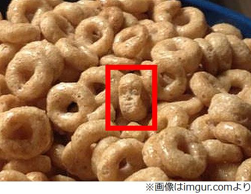 朝食に混ざっていたイラつく顔、“感じる視線”の正体見つけ喰う