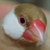 Twitter / suparouteiru: ワンタッチでウインナが可愛いペンギンになるというからワクワク ...