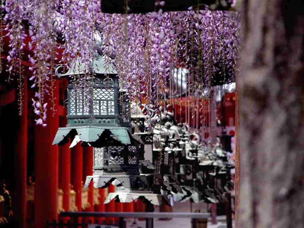 春日大社