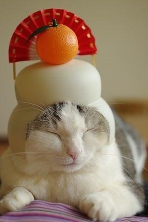 正月と言えば何ですか？