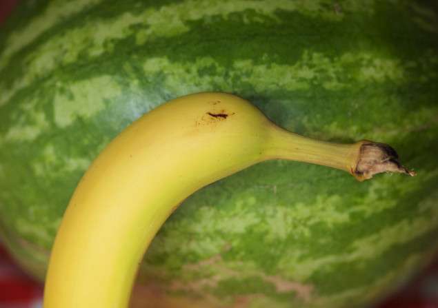 どう見てもカモなバナナが激写されるwww