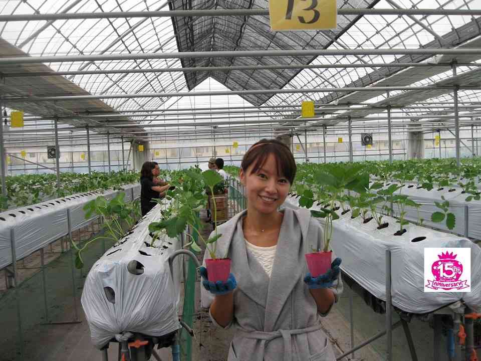 浜崎あゆみ「安室奈美恵に負けたくない」35歳の再婚にあった焦燥