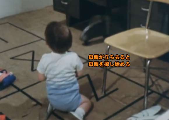 【悲報】猫に人間の子や犬のような愛情の見返りを求めるのは難しいことが判明