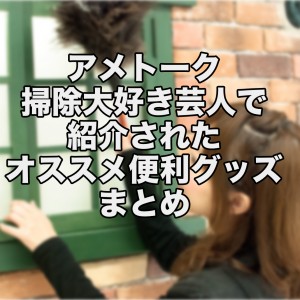 アメトーク 掃除大好き芸人で紹介されたオススメ超便利グッズまとめ | nori510.com