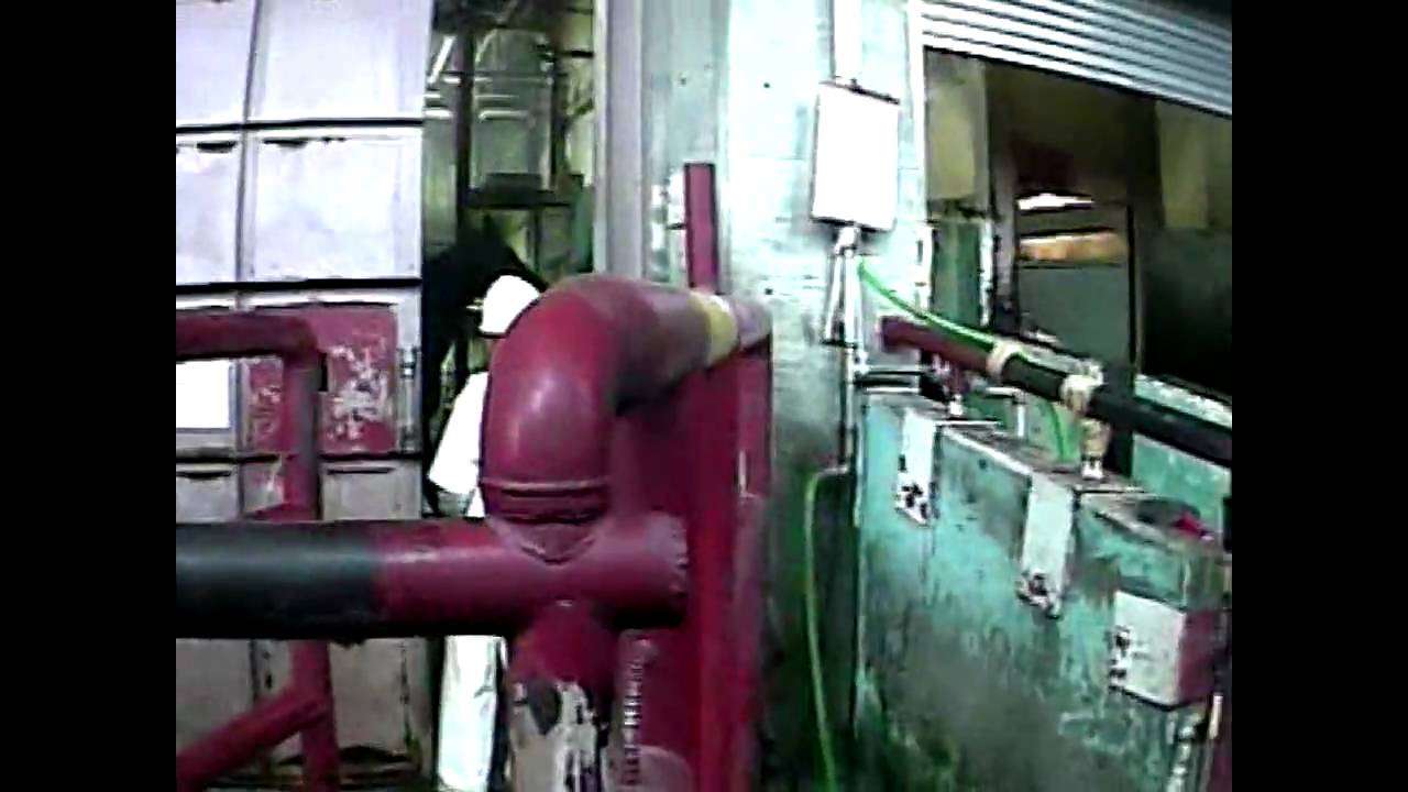 馬の屠殺現場調査 | Japanese Horse Slaughterhouse Investigation - YouTube