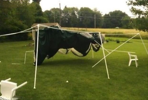 何でこうなるの…「理想と現実」の違いが伝わってくる写真