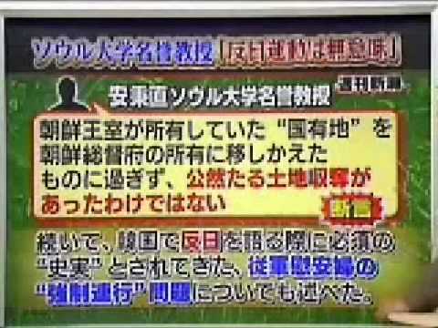 【韓国】反日運動に異論を唱えるソウル大教授 - YouTube