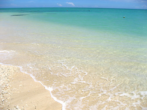 海外旅行キャンセルした方いますか？