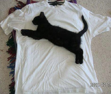 何でこうなるの…「理想と現実」の違いが伝わってくる写真