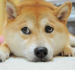 最近気に触る風潮