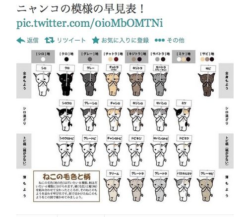 これは便利!ネコの模様24種類早見表