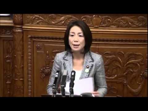 【参議院本会議】H26/01/30　民主党　徳永えり、完全売国奴な発言だらけ！ - YouTube