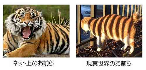 何でこうなるの…「理想と現実」の違いが伝わってくる写真